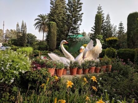 Mount Abu Brahmakumaris Peace Park Landscape Image